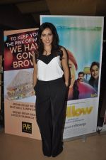 Neha Sharma at Yellow film screening in Mumbai on 2nd April 2014